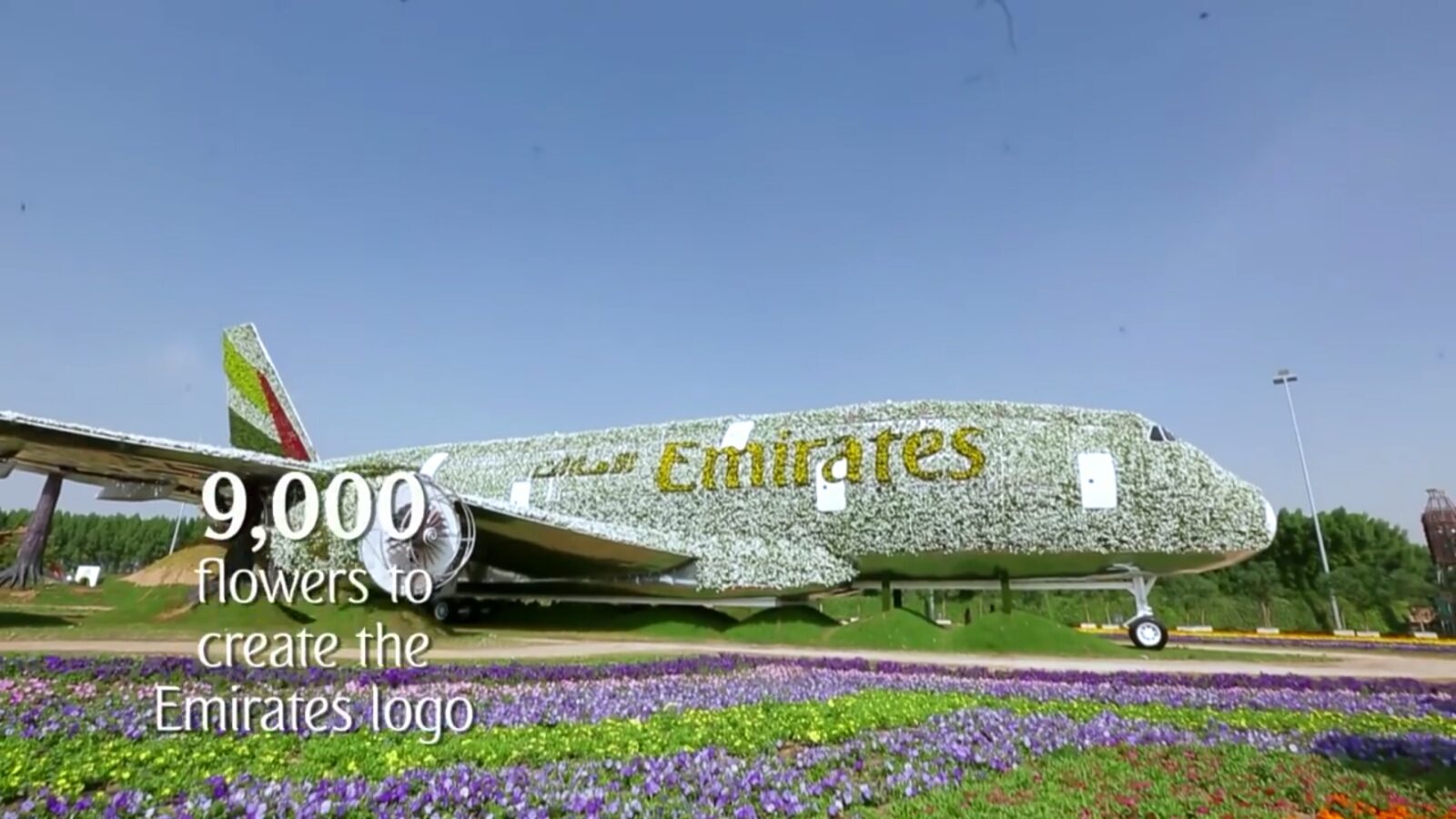 Pesawat Emirates A380 Terbuat Dari Bunga di Dubai Miracle Garden