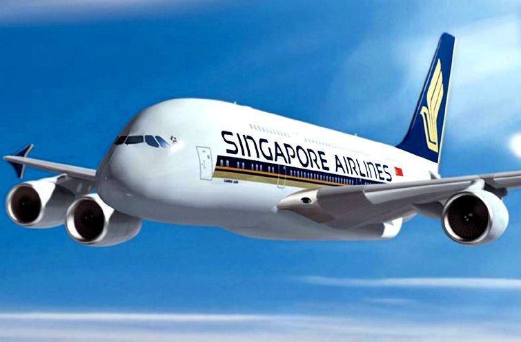 SINGAPORE AIRLINES TIDAK MENERIMA MUATAN TULANG SINGA
